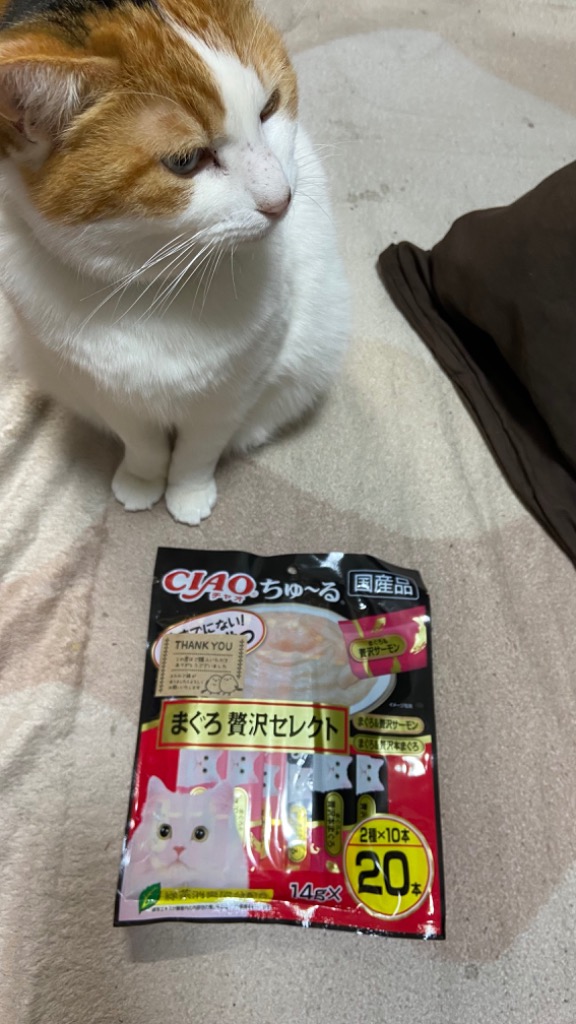 全体のレビュー画像 | 0-0