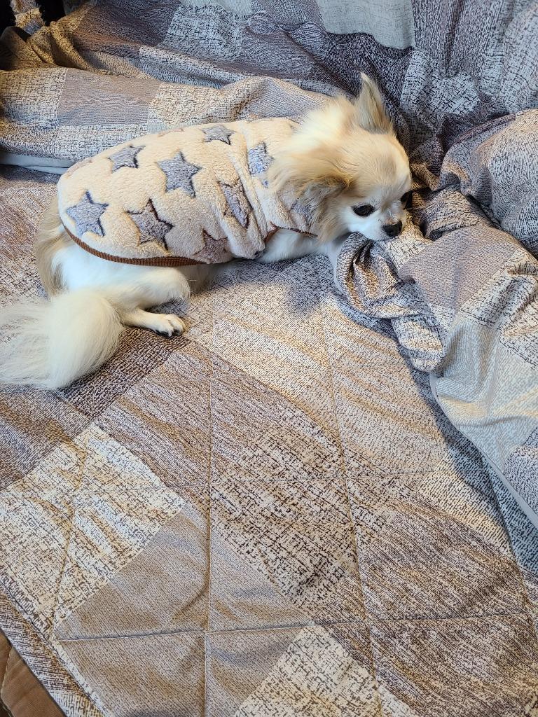 ⭐️ペット服　パーカー付きフリースサロペット⭐️ はっぴーDOG 犬服 トイプードル 犬 服 秋冬 秋 冬 犬の服