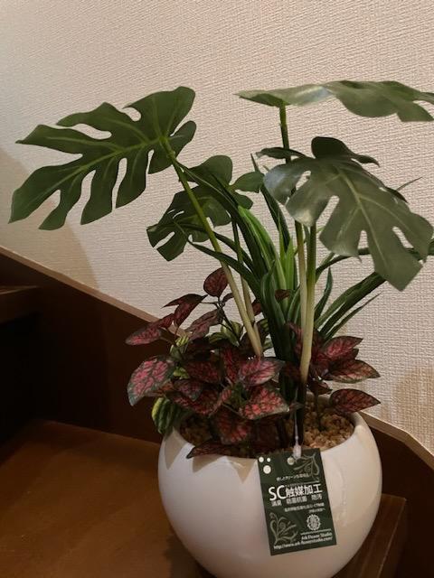 神戸花物語 フェイクグリーン 観葉植物 人工観葉 卓上 ミニ 神戸花物語 フェイクグリーン 観葉植物 人工観葉 卓上 ミニ