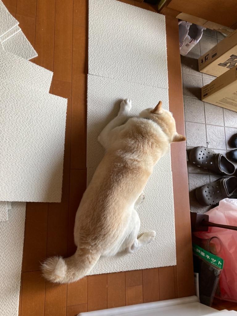 全体のレビュー画像 | 4-0