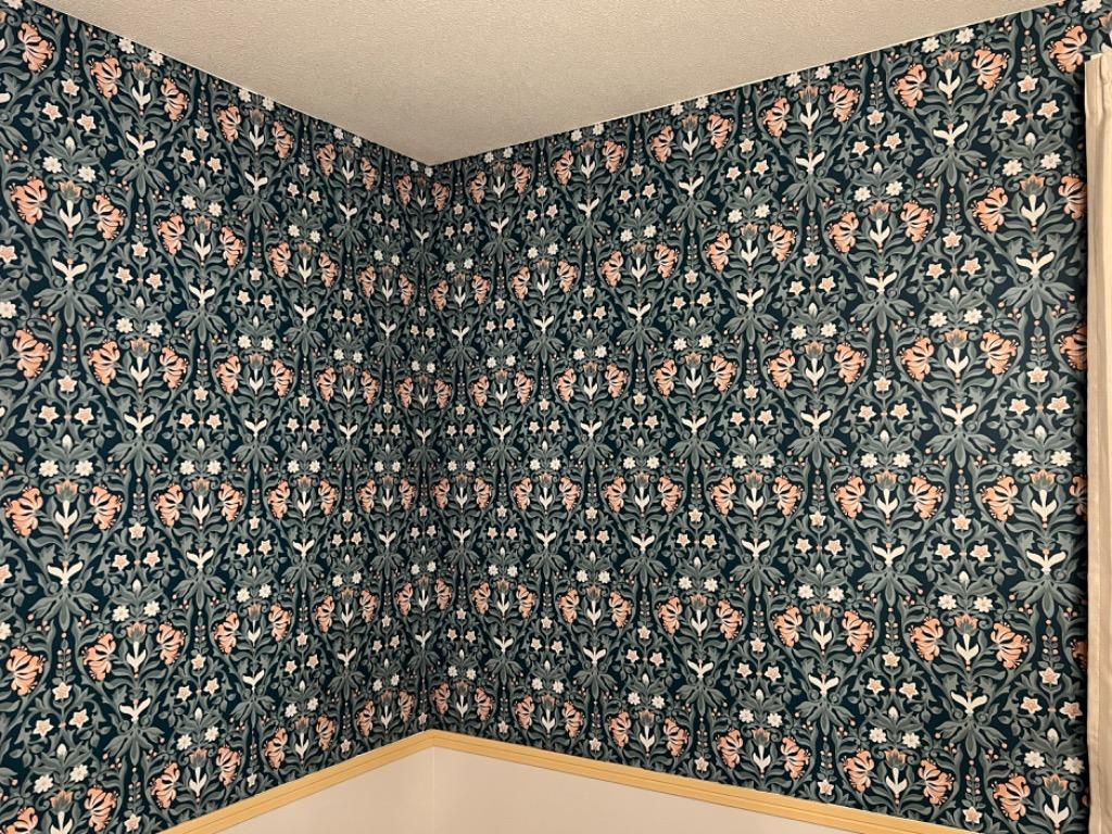 全体のレビュー画像 | 1-0