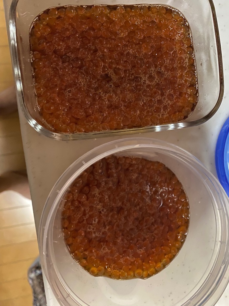 全体のレビュー画像 | 0-0