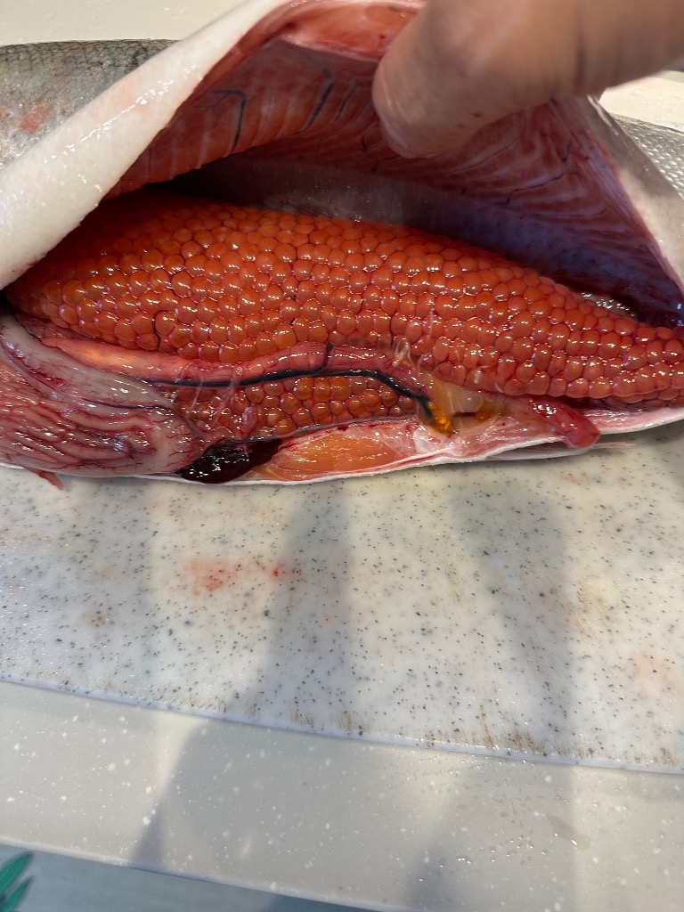 全体のレビュー画像 | 1-1