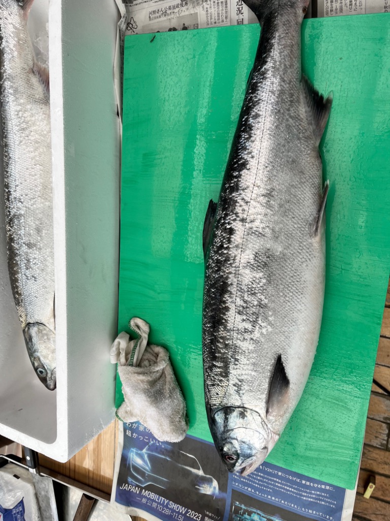 1件目のレビュー画像 | 0