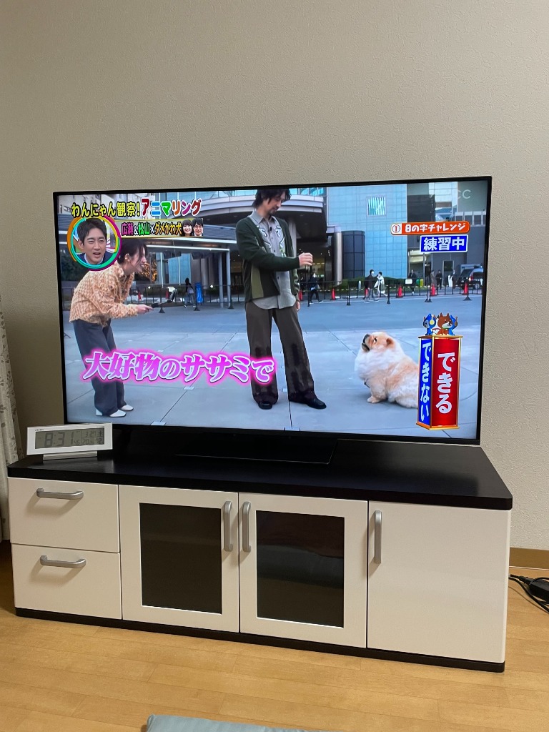 TOSHIBA REGZA 50Z670N REGZA 液晶テレビ、薄型テレビ - 最安値