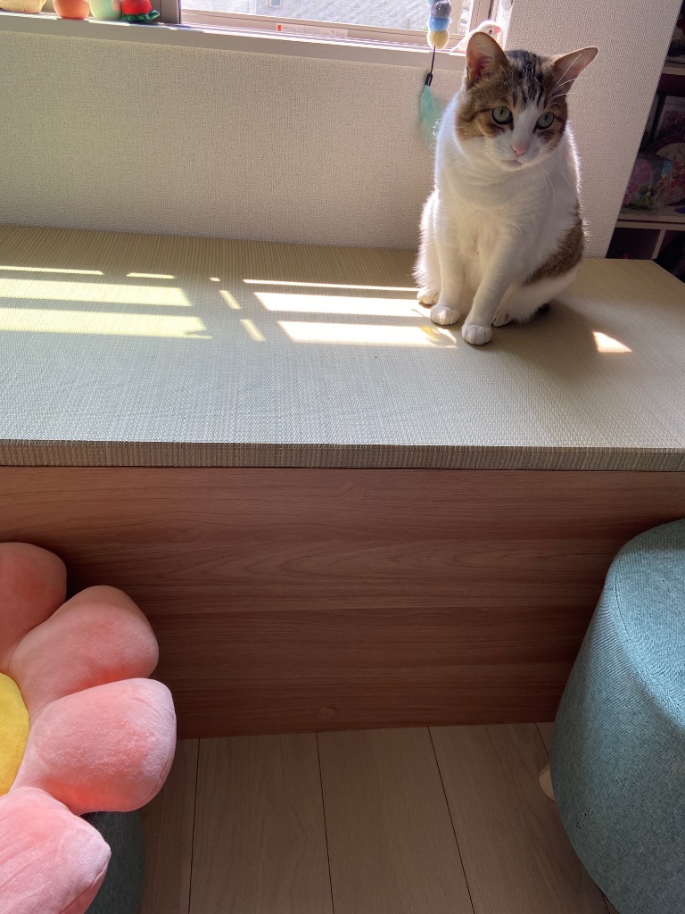 1件目のレビュー画像 | 1