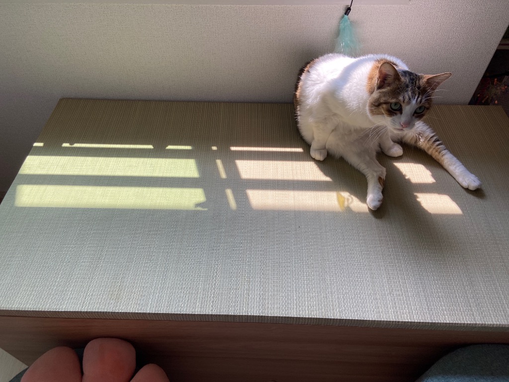 1件目のレビュー画像 | 0
