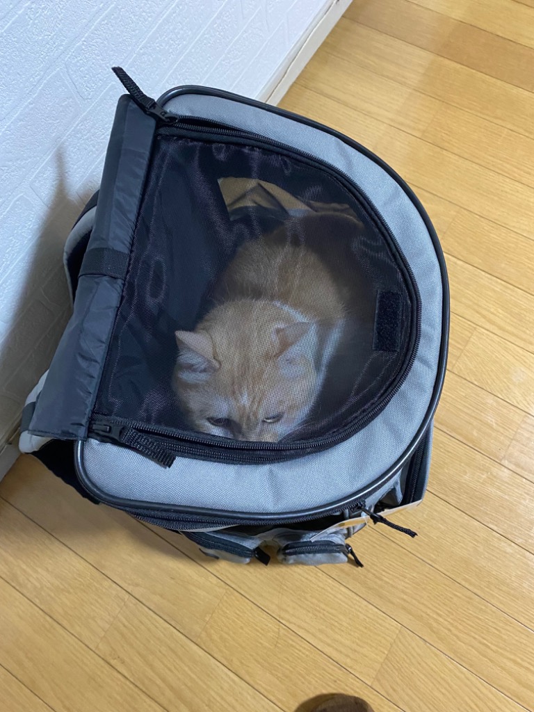 レビュー画像