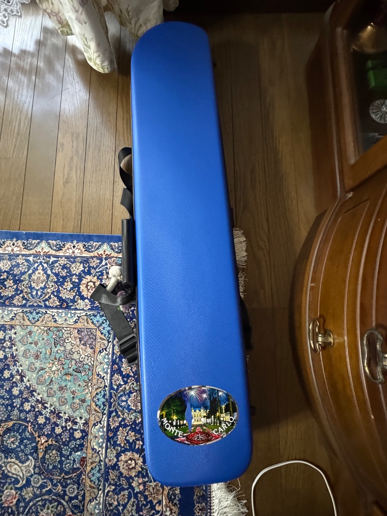 二胡バッグ 二胡ケース 軽量 標準ユニバーサル 二胡楽器ケース 二胡