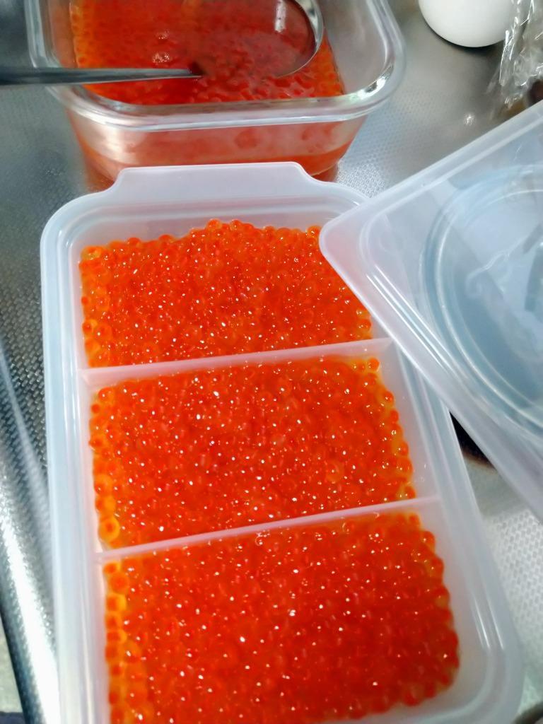 原産地からの直送】 鮮度抜群！ 秋鮭の生筋子 1kg : no200 : 海産問屋