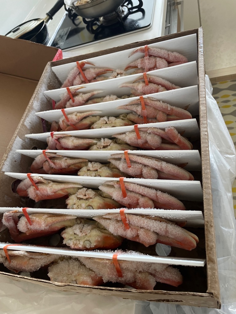 全体のレビュー画像 | 0-0