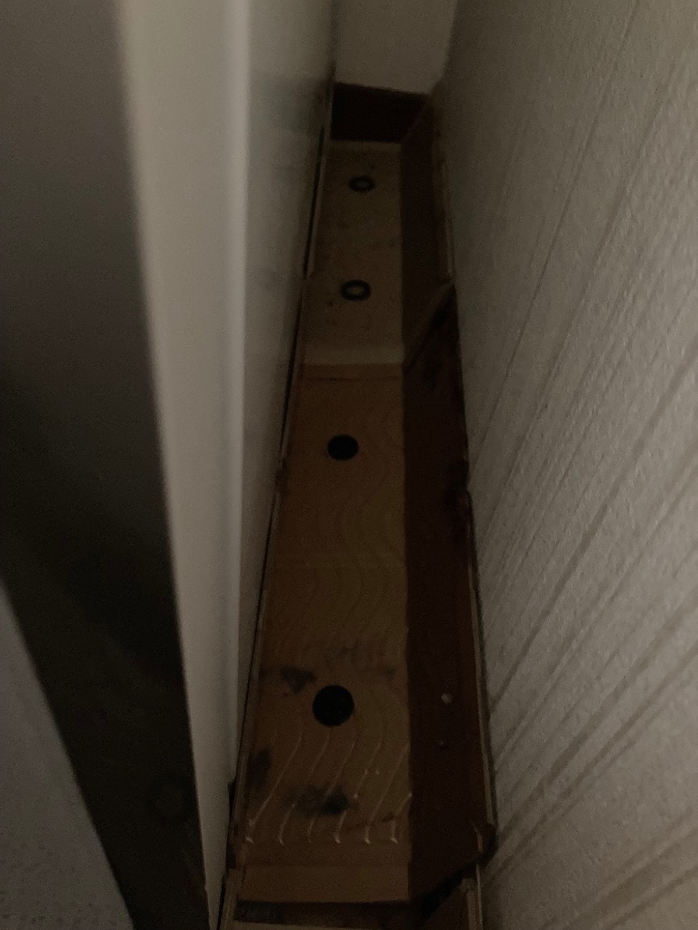 1件目のレビュー画像 | 0