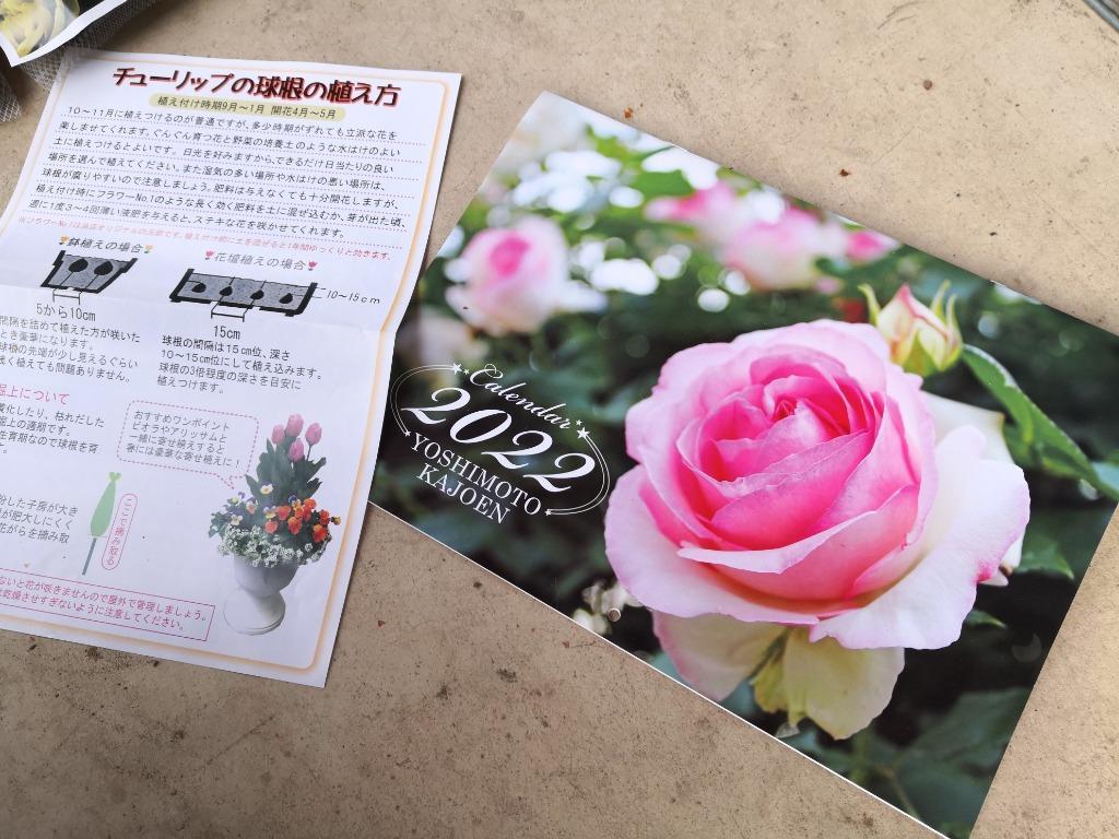 7件目のレビュー画像 | 2