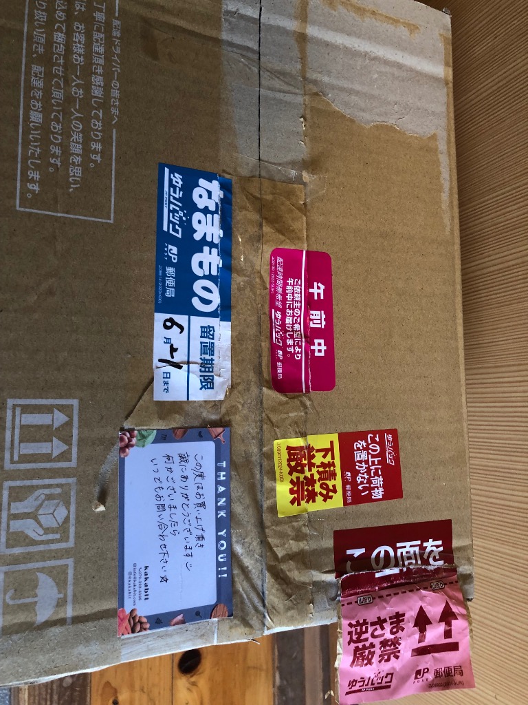 レビュー画像