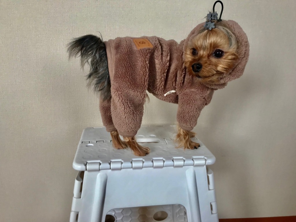 レビュー画像
