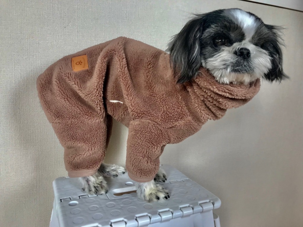 レビュー画像