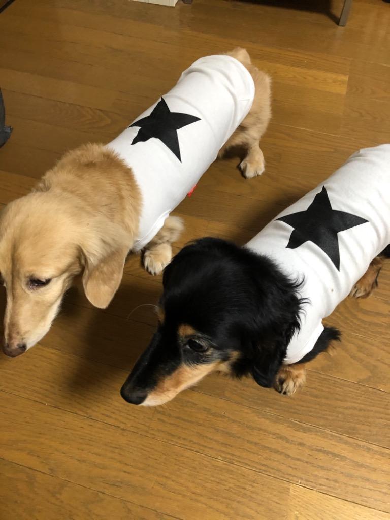 犬の服 Yahoo限定セール kamakuradog star's（タンク） :t369:鎌倉DOG Yahoo!店 - 通販 - Yahoo !ショッピング