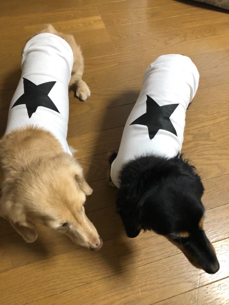 犬の服 Yahoo限定セール kamakuradog star's（タンク） :t369:鎌倉DOG Yahoo!店 - 通販 - Yahoo !ショッピング