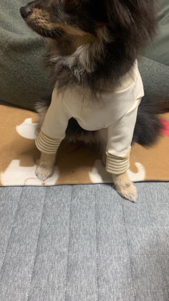 レビュー画像
