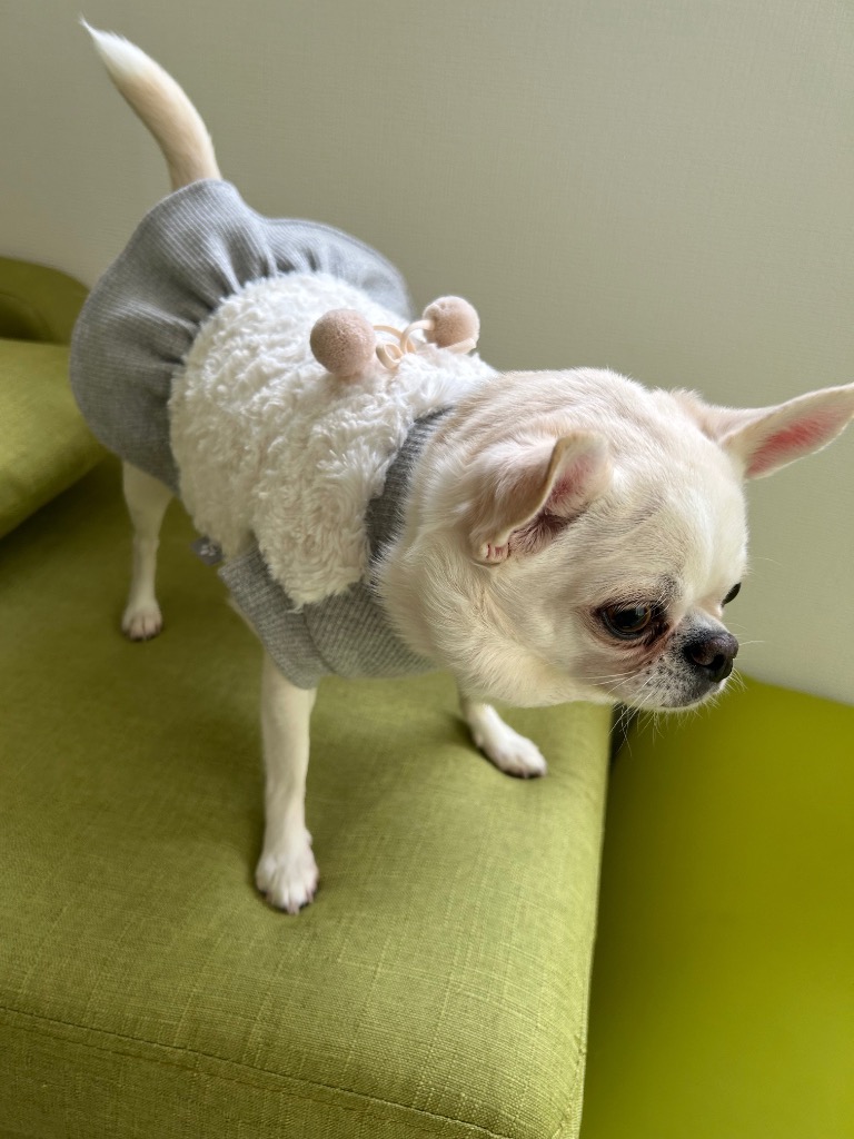 kamakuradog（鎌倉DOG） プードルファーワンピース トイプードル 服