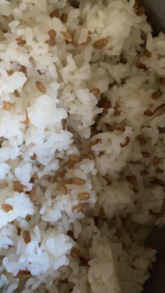 有機ライ麦丸粒900g 玄麦 ポイント消化 本場 ドイツ産 :yuukiraimugimaru1kg:有機スパイスと紅茶鎌倉てとら - 通販 -  Yahoo!ショッピング