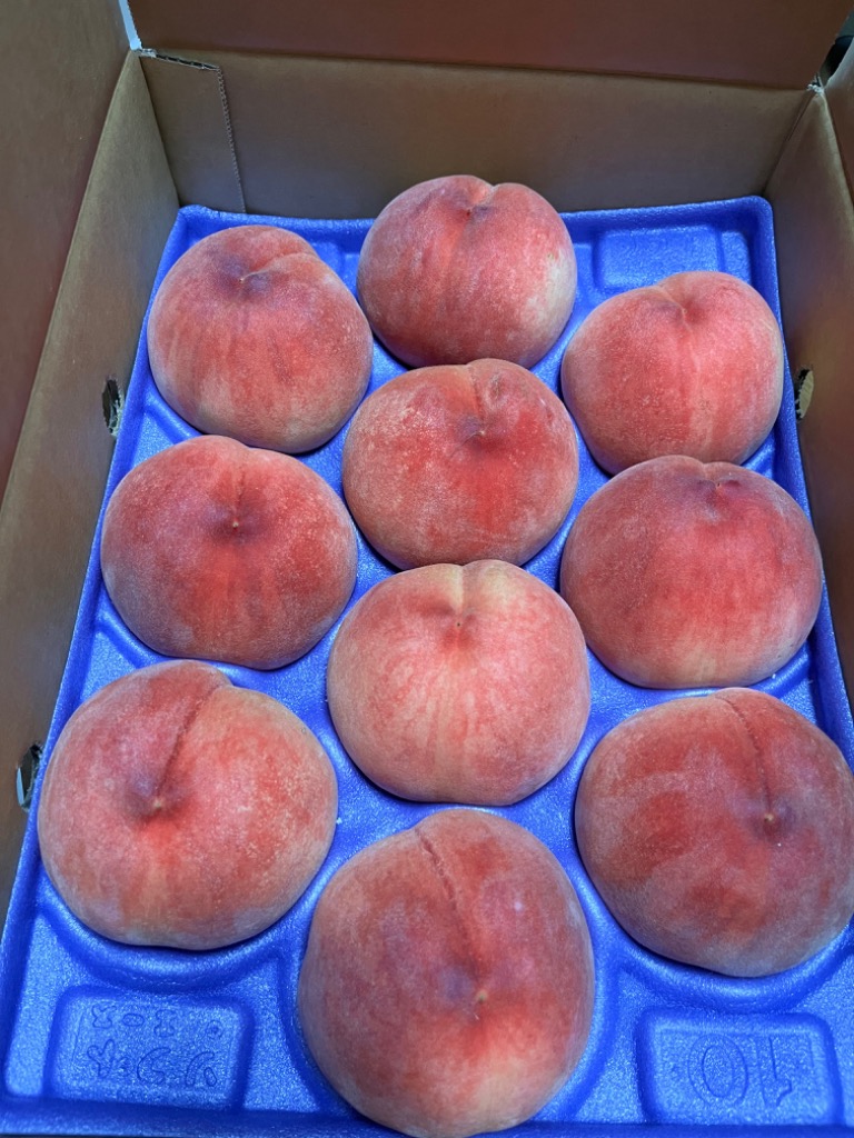 桃 あかつき 2.7kg 福島桑折町産 7月下旬-8月上旬お届け 9〜13個