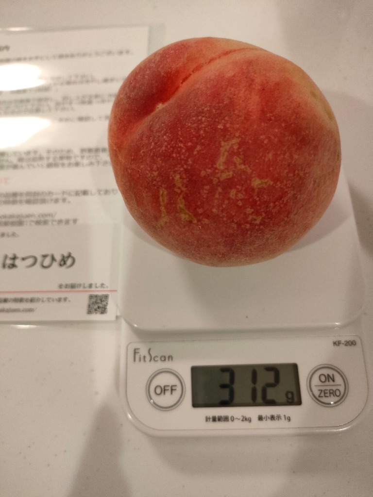 桃 はつひめ 2.7kg 福島桑折町産 6月下旬〜7月上旬お届け 9〜13
