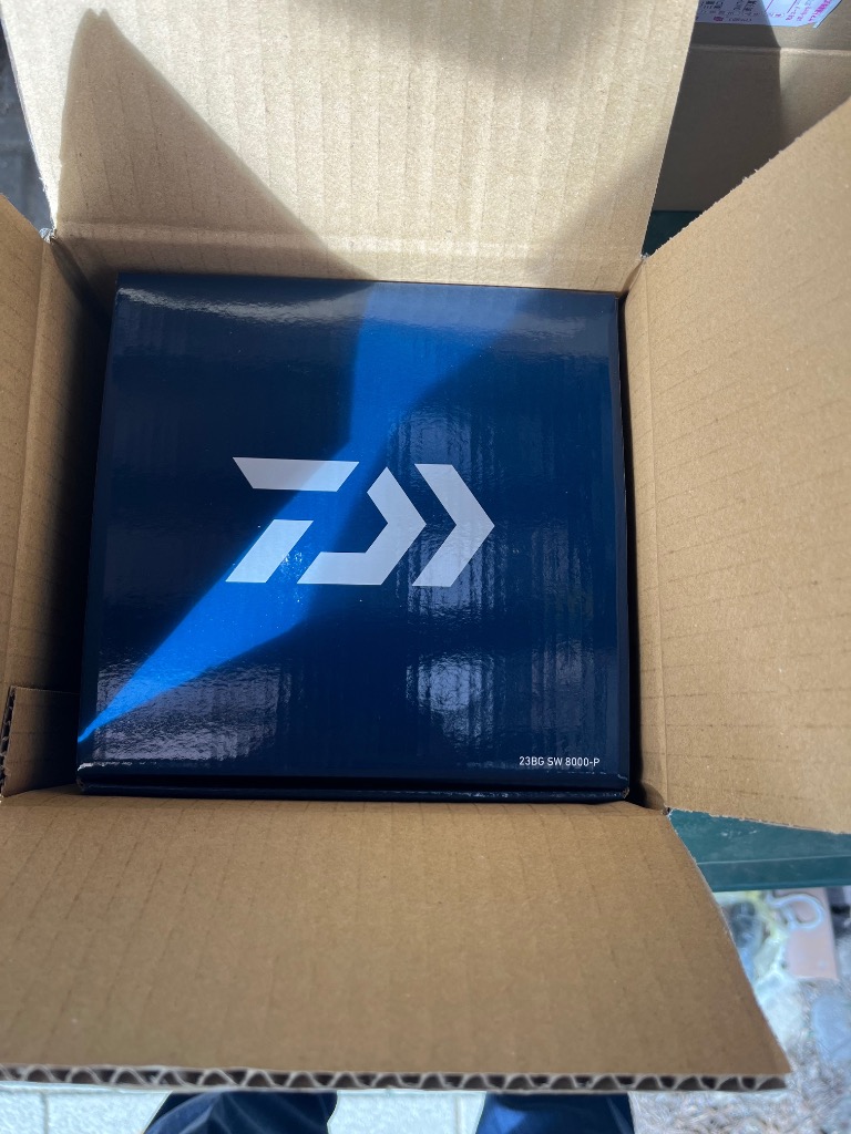 DAIWA（釣り） 23 BG SW 8000-P スピニングリール - 最安値・価格比較