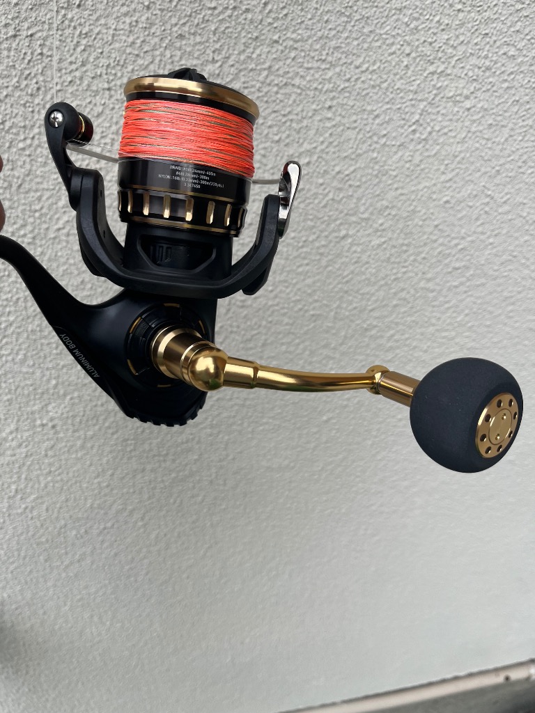 DAIWA（釣り） 23 BG SW 8000-P スピニングリール - 最安値・価格比較