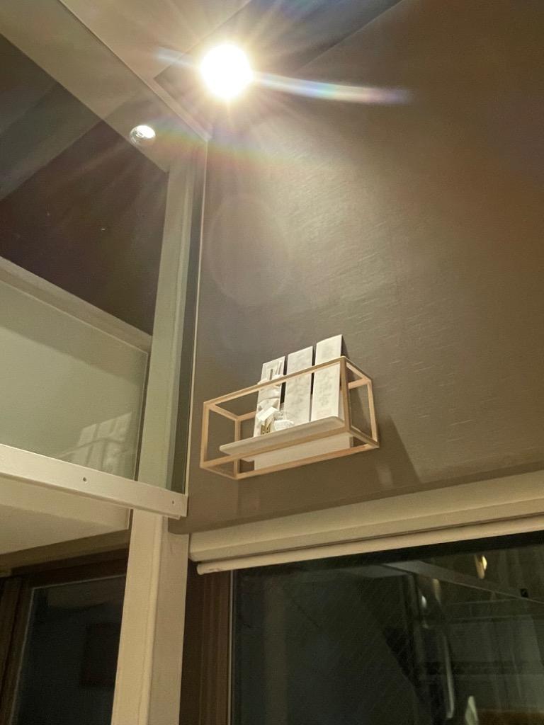 超本格派 限定販売品　新品 2019年 3点式 9.5in 6分割 限定 キャディバック CBG90R キャディバッグ プロモデル 左右非対称デザイン 格安処分 ＭＢＴ カジュアルパタジップ 263Ｗ ブラック ＬＷＣ263Ｌ