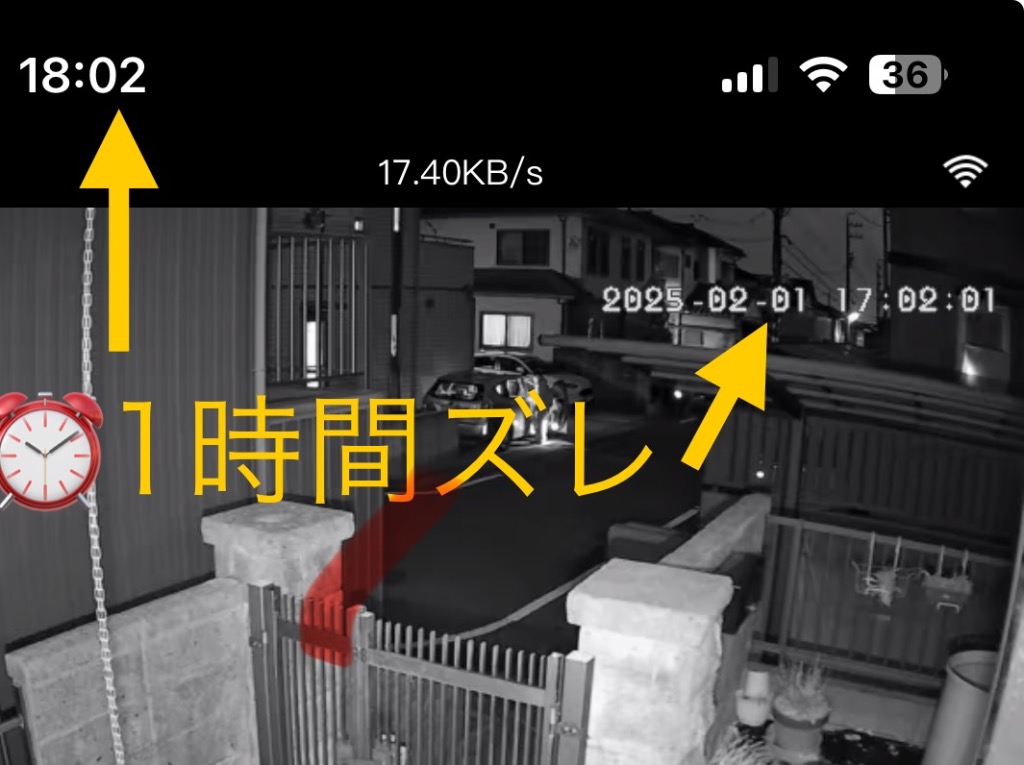 レビュー画像