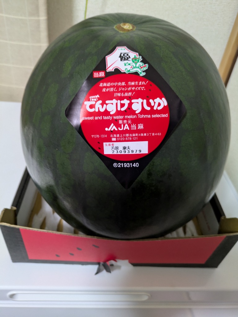 でんすけすいか LARGE 送料無料 訳あり でんすけすいか 良〜優品 3Lサイズ 大型8kg