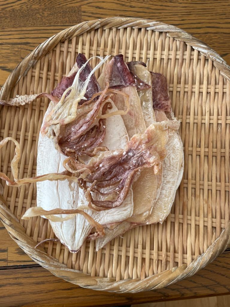剣先するめ5匹 Lサイズ ベトナム産 韓国食品 韓国食材 韓国市場