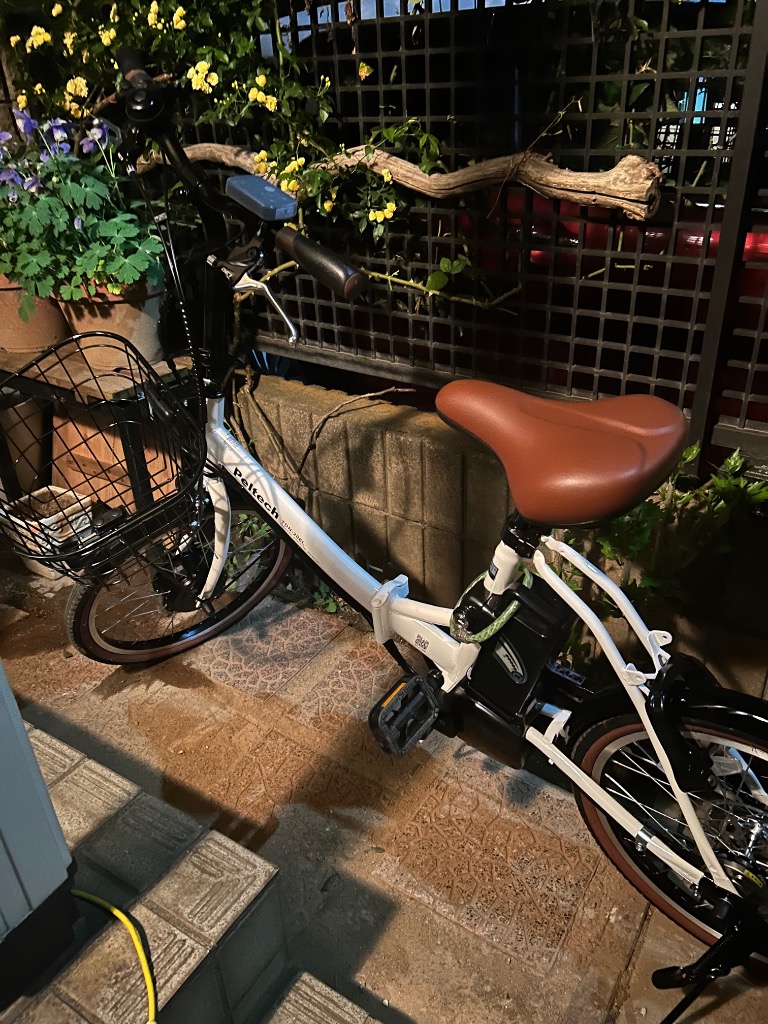 PELTECH TDN-206L 8Ah 20型 アルミ 折り畳み 電動アシスト自転車 PELTECH TDN-206L 8Ah 20型 アルミ 折り畳み 電動アシスト自転車