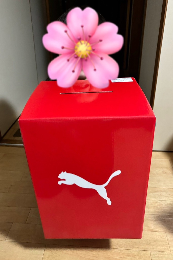 レビュー画像