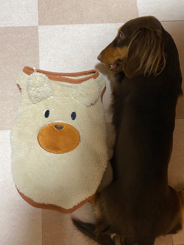 レビュー画像