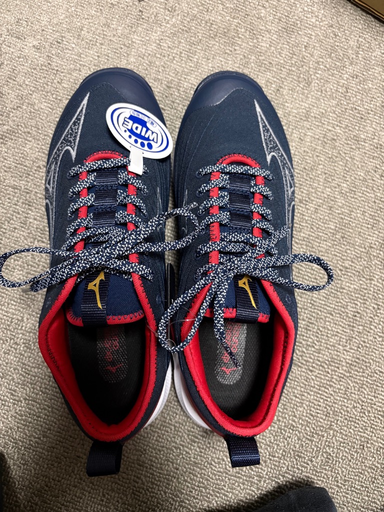 MIZUNO（ミズノ） 野球トレーニングシューズ ミズノプロ クッション