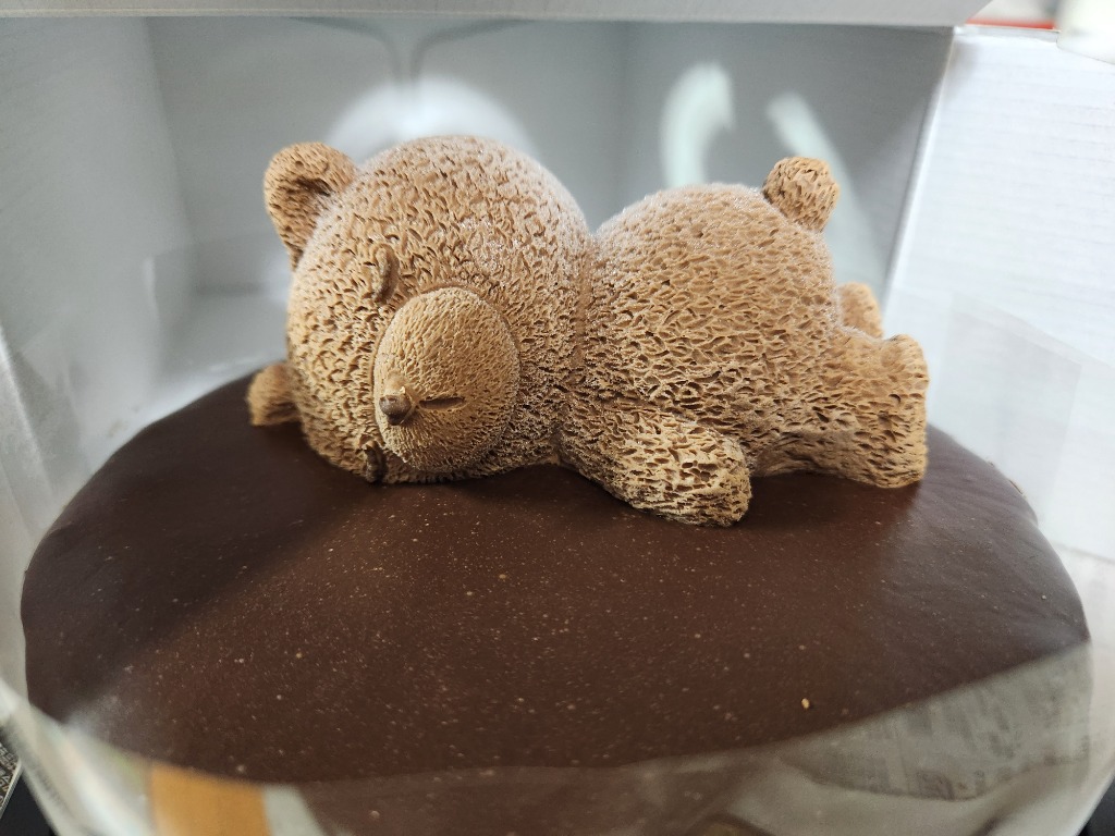 morin（食品） 誕生日ケーキ ザッハトルテ 5号 くまちゃん
