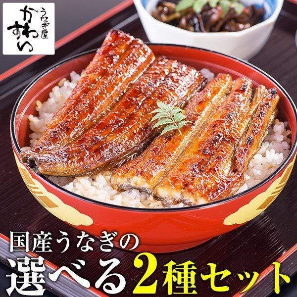 国産 うなぎ 蒲焼き 2種セット ウナギ 蒲焼 うなぎ蒲焼き うなぎ蒲焼 贈り物 グルメ ギフト 内祝い 内祝 御歳暮 お歳暮 :ota-2:うなぎ屋かわすい  川口水産 - 通販 - Yahoo!ショッピング