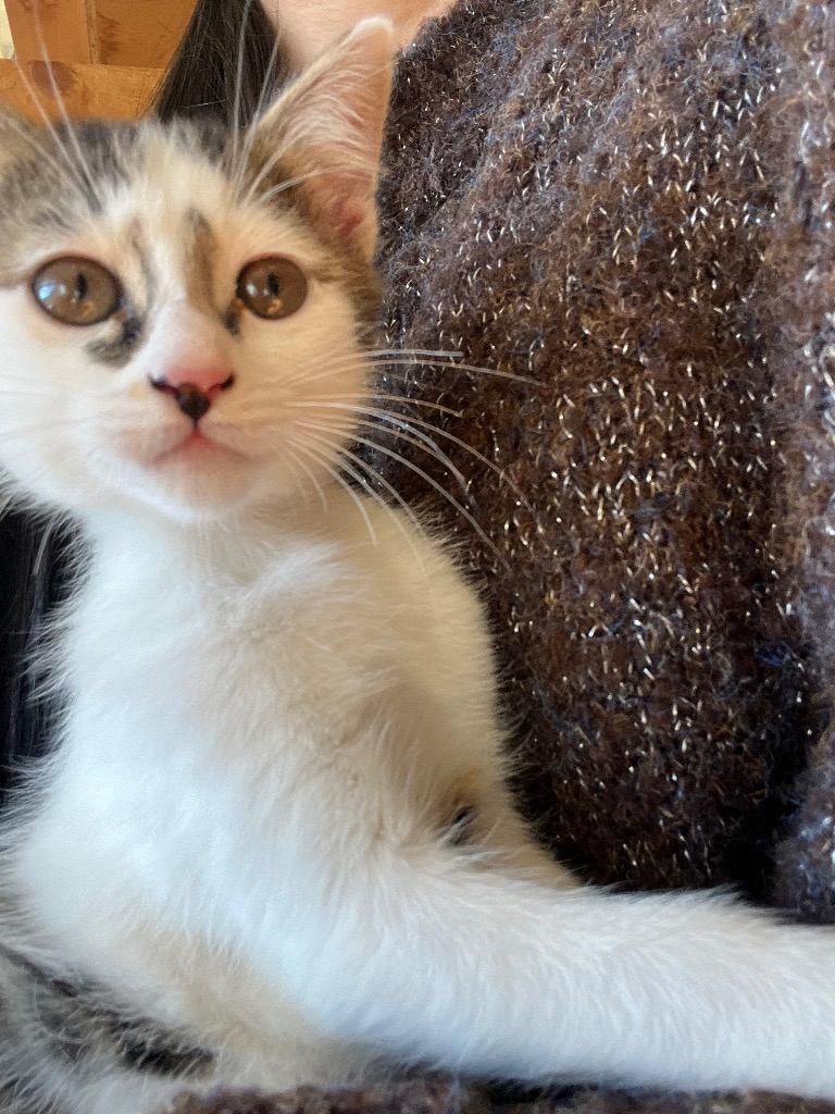 全体のレビュー画像 | 0-0