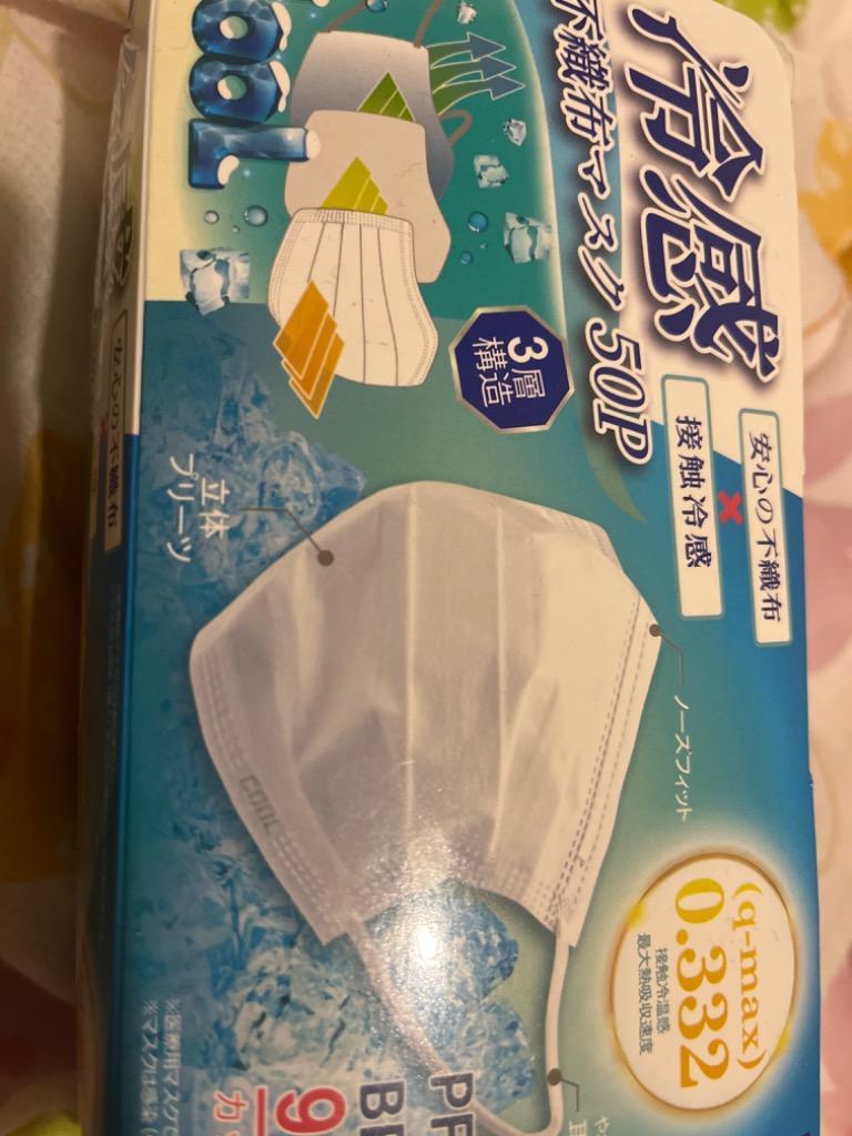 激安商品激安商品超冷感不織布ＩＣＥマスク 30枚入 レギュラーサイズ 衛生日用品・衛生医療品