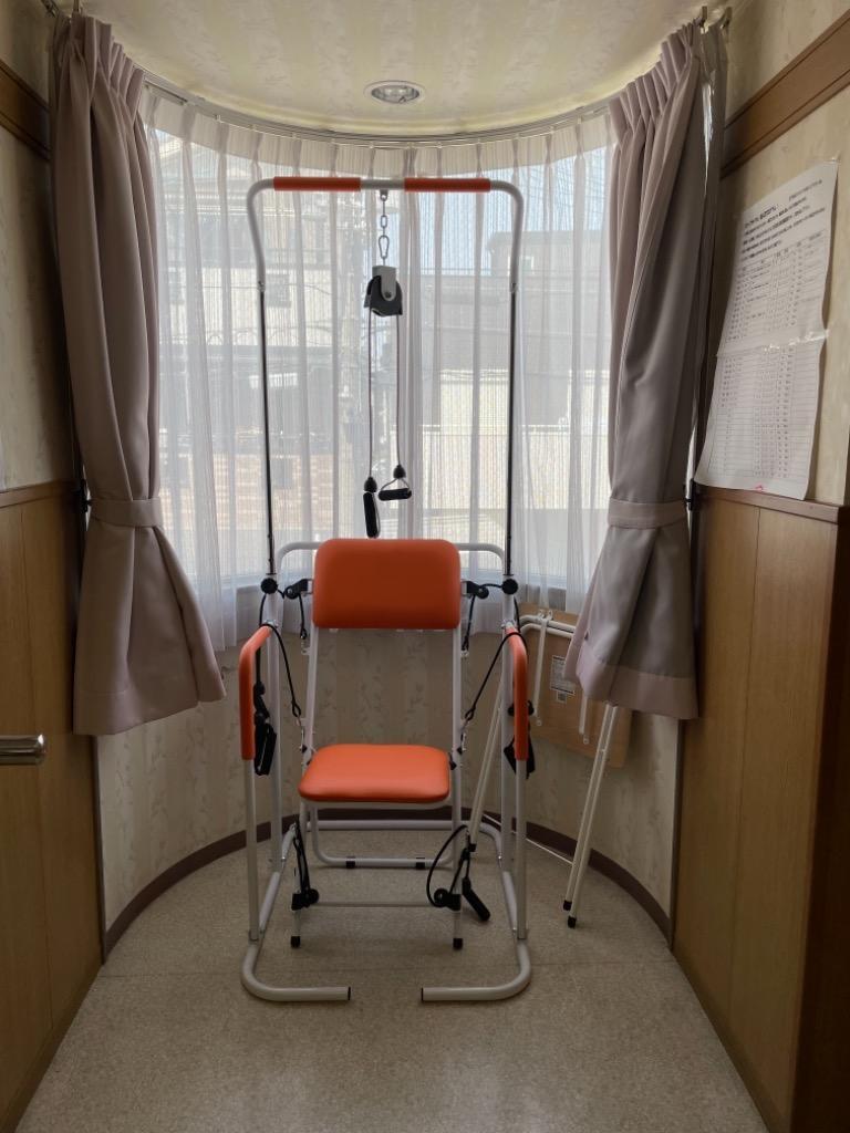 ぶら下がり健康器 筋トレ マルチホームトレーナー YMHT-250