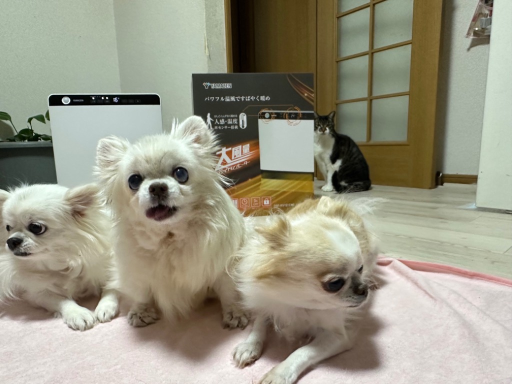 レビュー画像