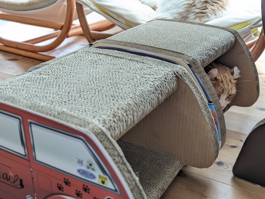 8件目のレビュー画像 | 1