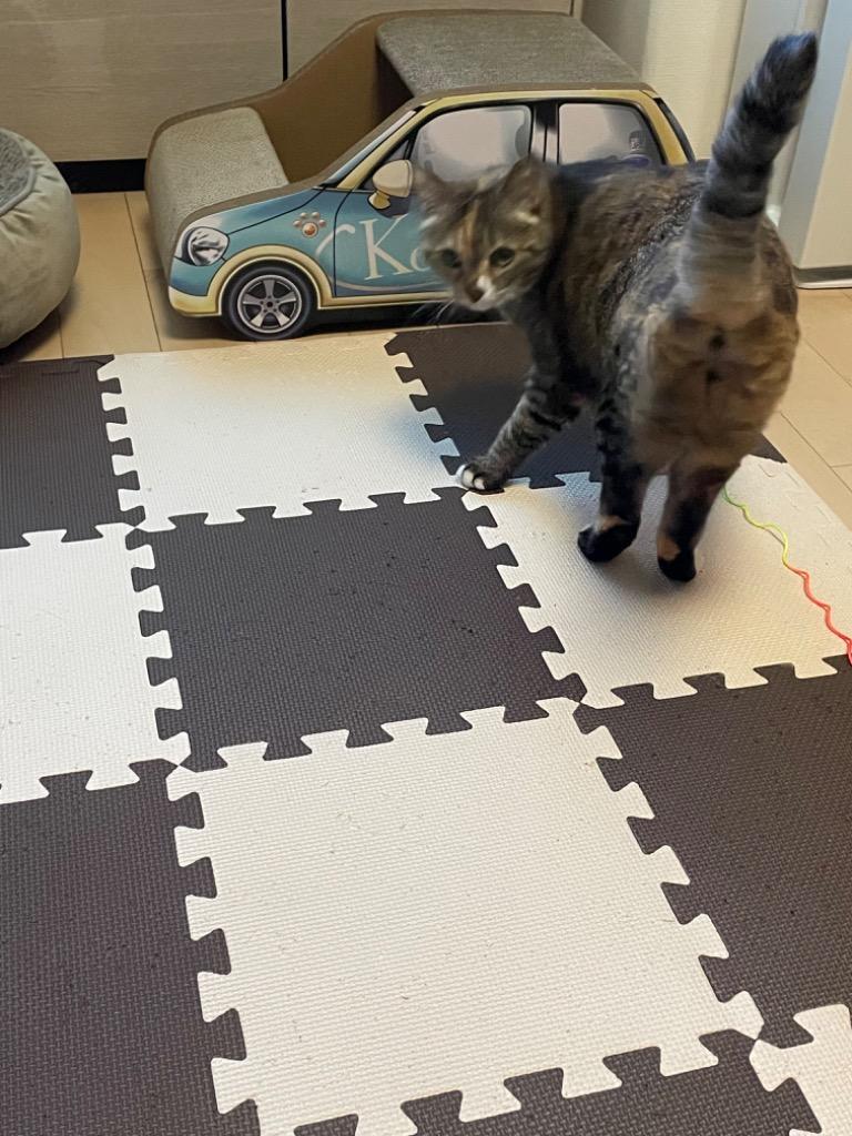 2件目のレビュー画像 | 2