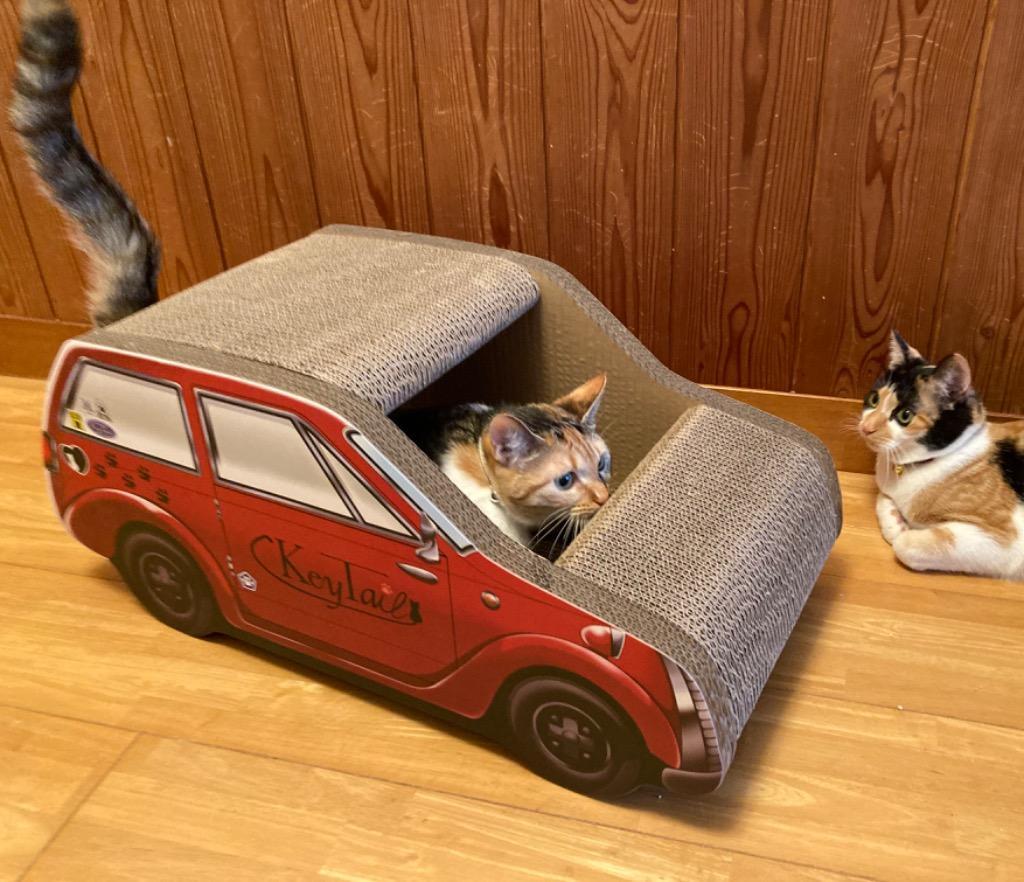 7件目のレビュー画像 | 0