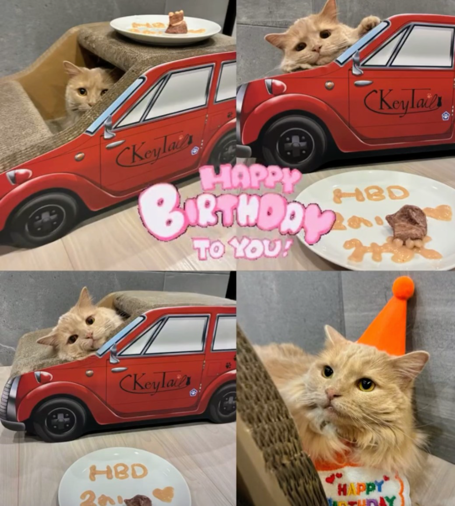 5件目のレビュー画像 | 0