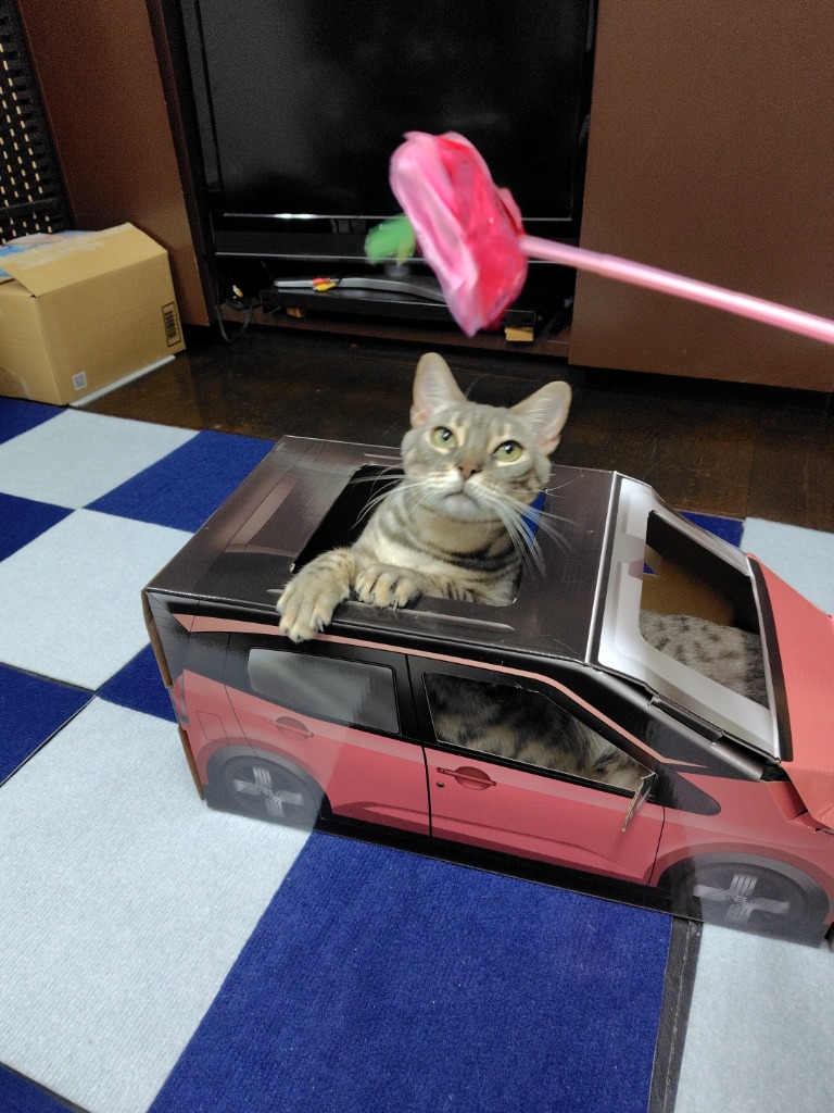 6件目のレビュー画像 | 3