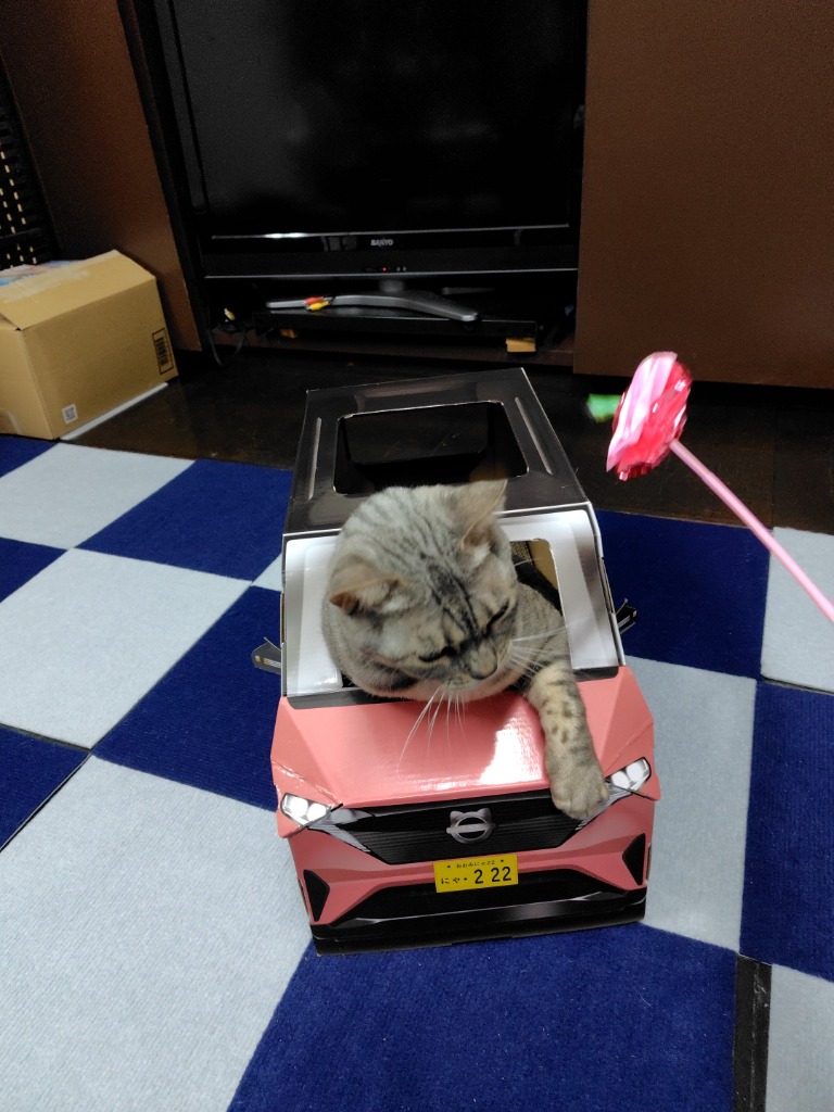 6件目のレビュー画像 | 0