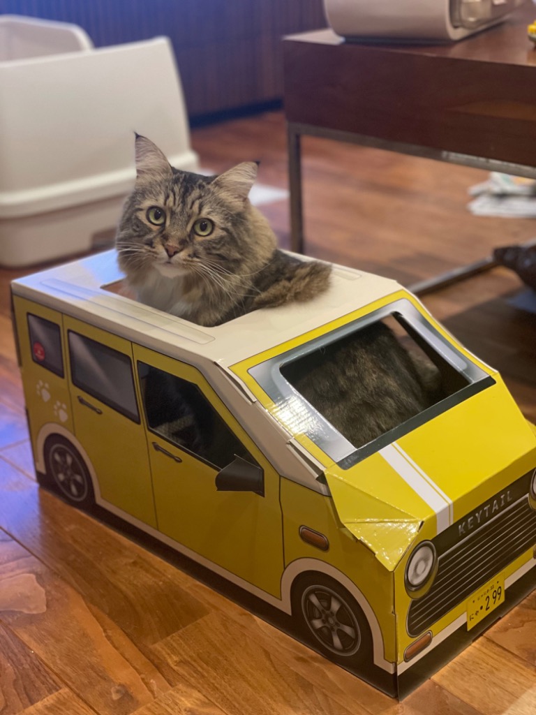 1件目のレビュー画像 | 0